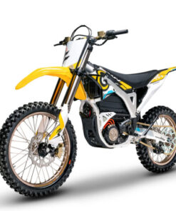 SurRon Storm Bee 2024